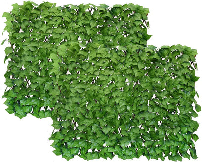 GrünSchleier™ Sofortiger Üppiger Sichtschutz