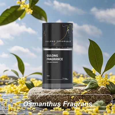 Wallace | Langzeit-Autoparfum