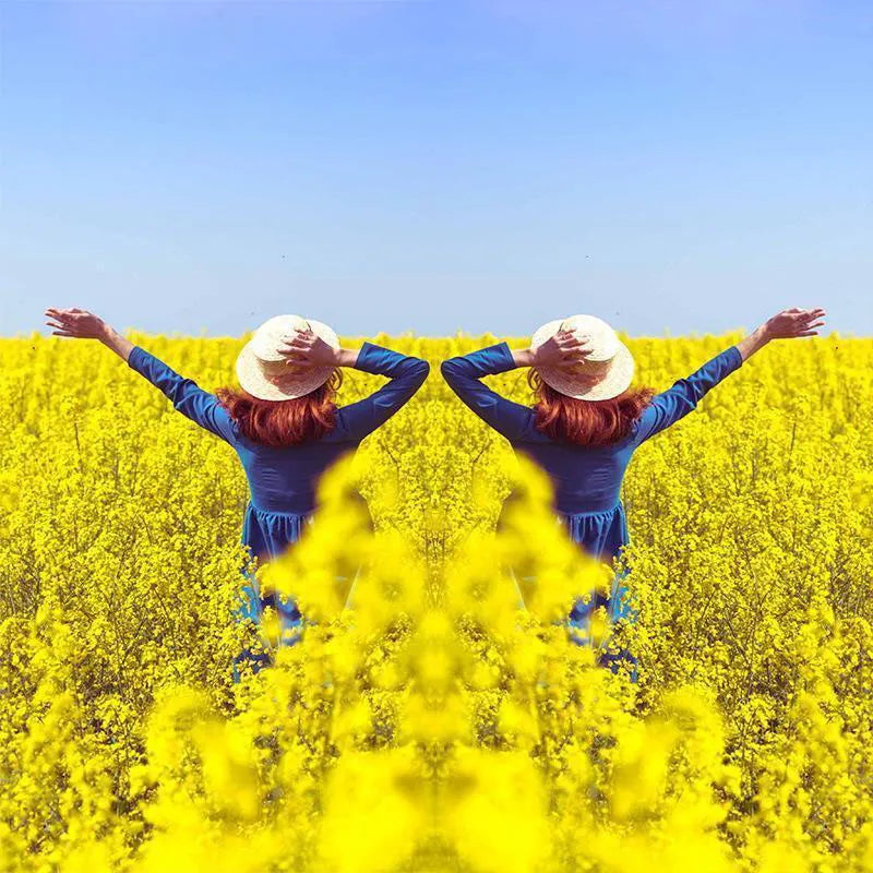 SpiegelSnap™ Perfekte Symmetrie-Aufnahmen