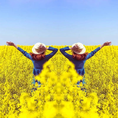 SpiegelSnap™ Perfekte Symmetrie-Aufnahmen