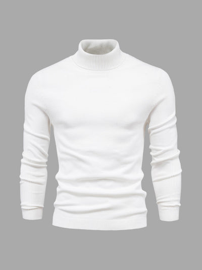 Herren Rollkragenpullover, waschbar