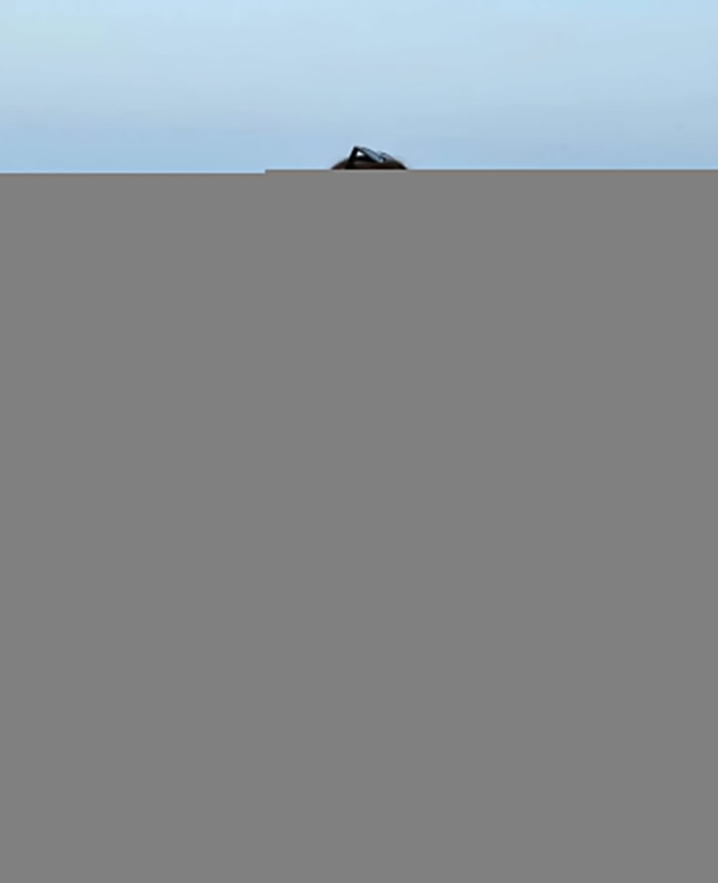 Damen Gingham Bluse – Lockere Passform mit Rüschen & Schleife