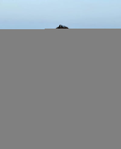 Damen Gingham Bluse – Lockere Passform mit Rüschen & Schleife