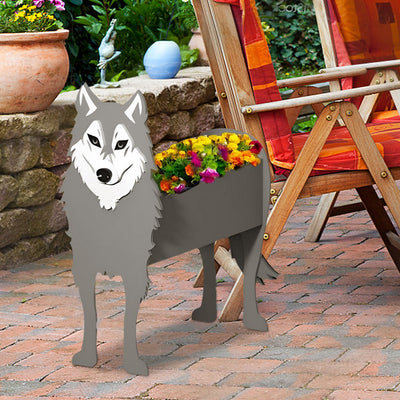 Grauer Wolf Pflanzgefäß