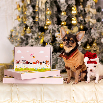 Bullmastiff Flower Pot