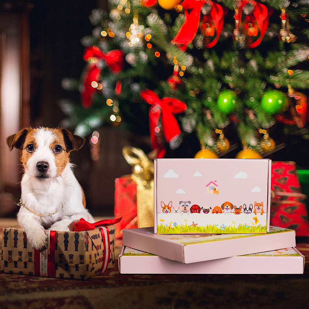 Civet Cat Flower Pot