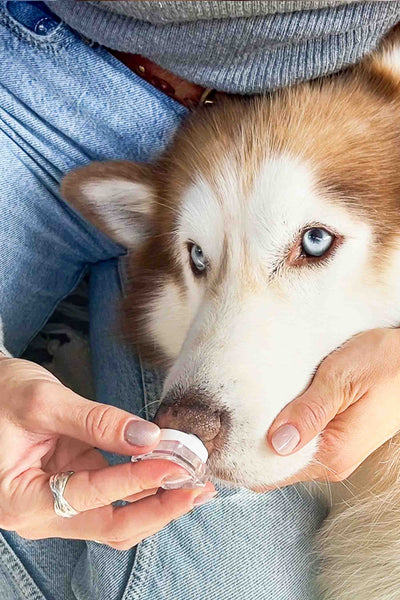 Devin | SILIKON EMPFINDLICHER BEREICH