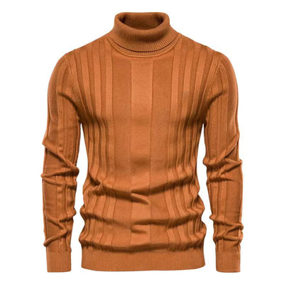 Stilvoller Herren Rollkragenpullover