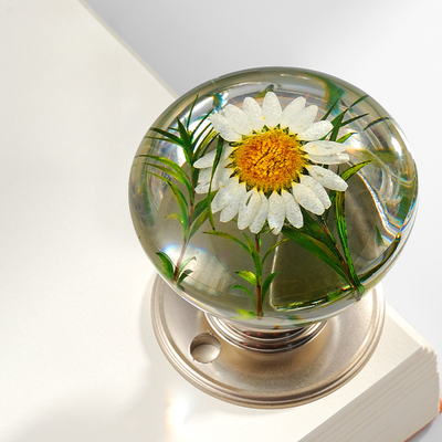 TürPop™ Kreatives Tür-Upgrade